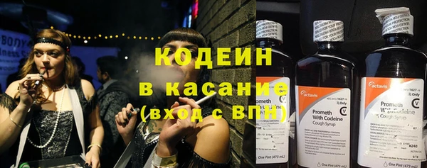 мяу мяу мука Гусев
