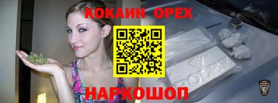 гашик Кунгур