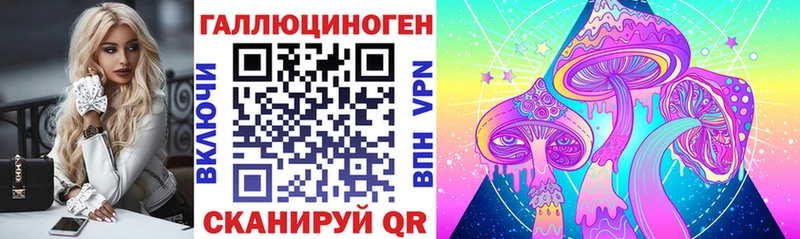 Псилоцибиновые грибы Cubensis Татарск