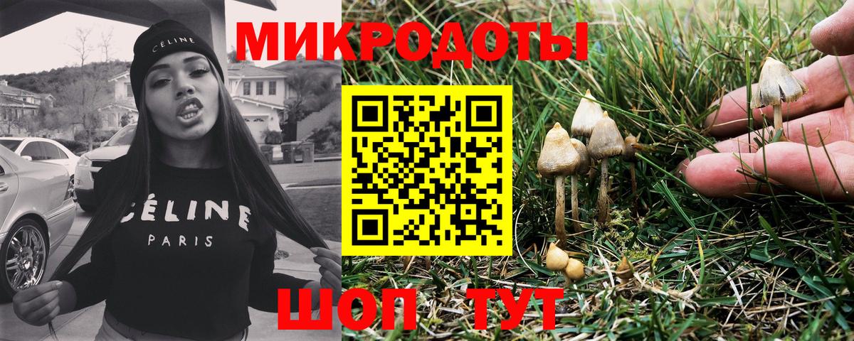 Псилоцибиновые грибы мухоморы  дарнет шоп  Татарск  Вход с VPN 
