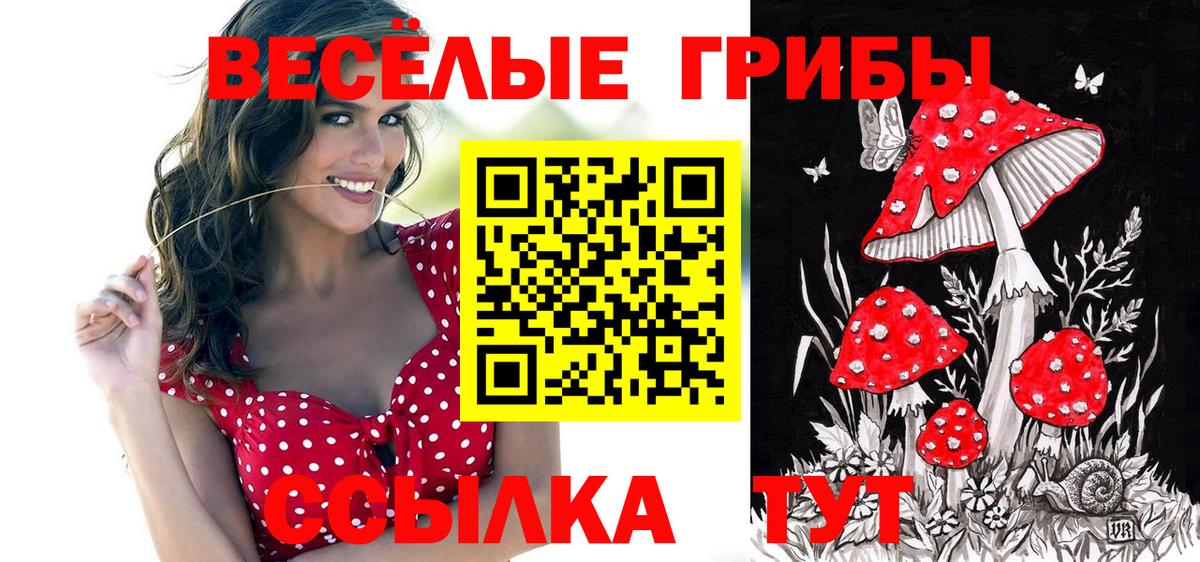 Псилоцибиновые грибы Magic Shrooms Татарск